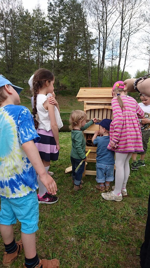 Flow hives: high technology and apiaries 3 DSC 0158