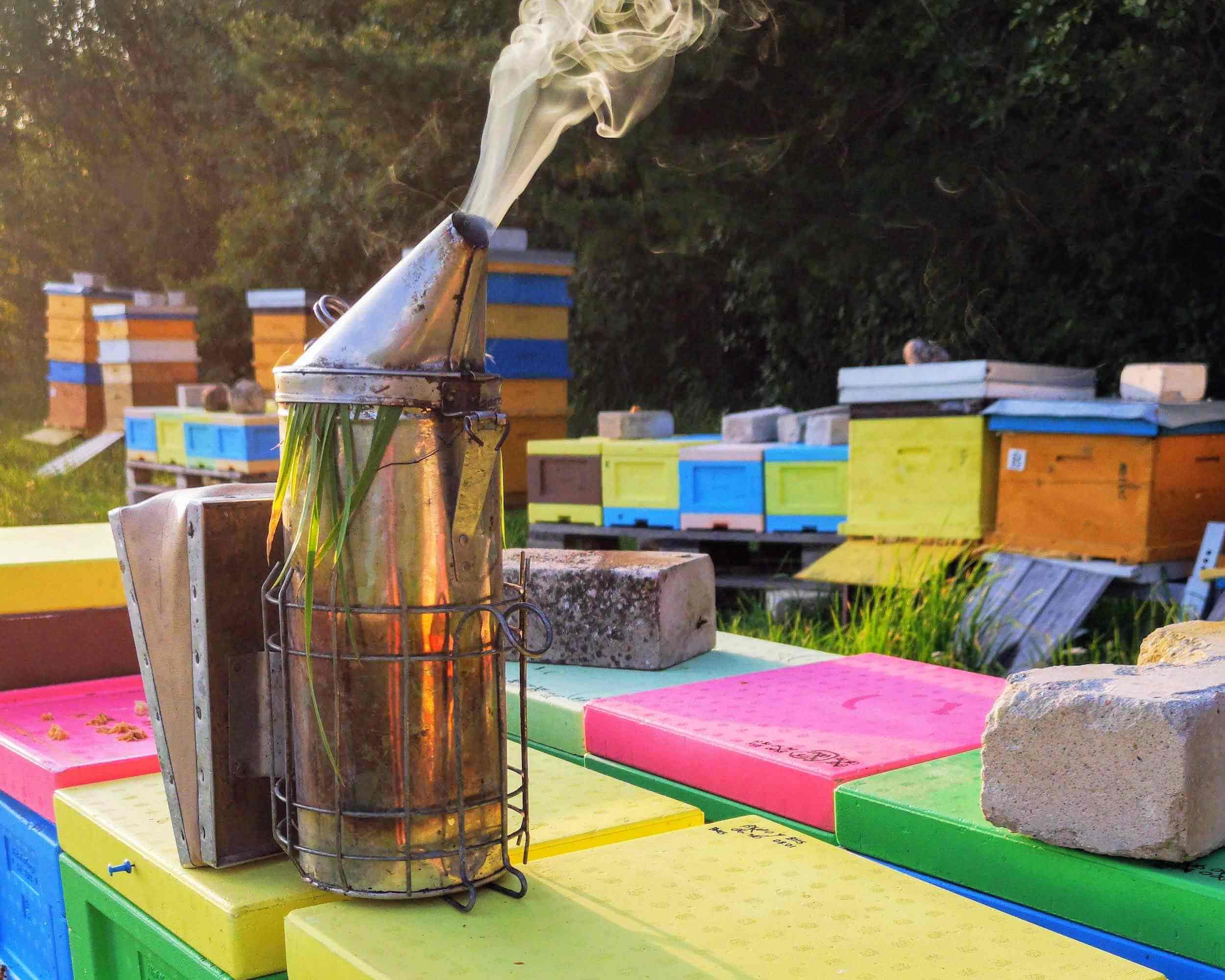 Caution! Beginner beekeeper 1 atsargiai pradedantysis bitininkas