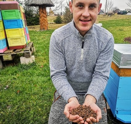 Benefits, properties and consumption of bee bread 5 Kada valgyti bičių duonelę