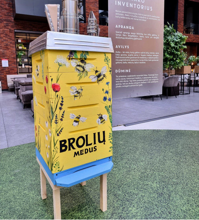 broliu medus edukacijos 3