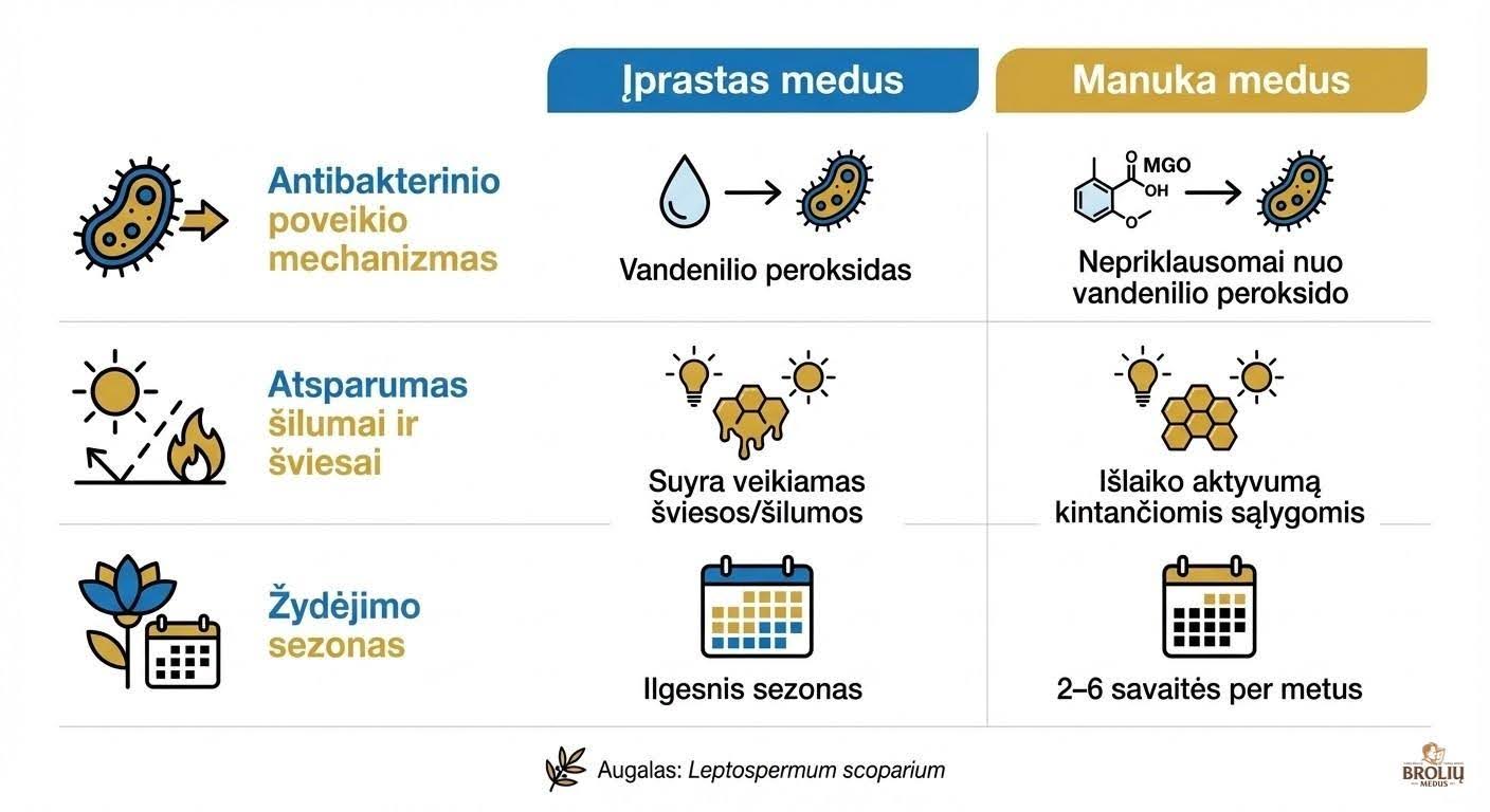 Manuka honey: what it is, its health benefits, the importance of MGO and how to choose it 2 iprastasmedus